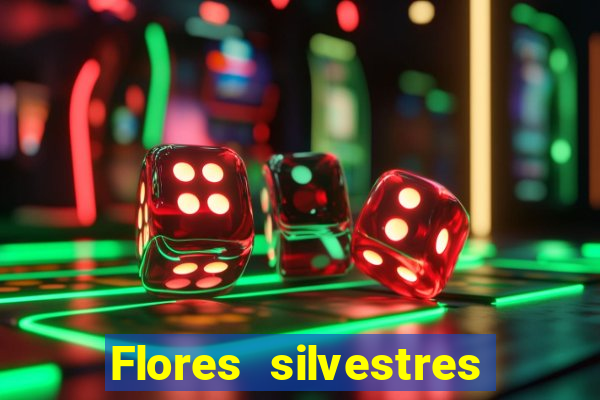 Flores silvestres brasileiras 25